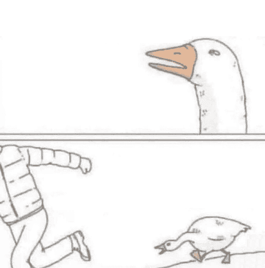 Goose Chase