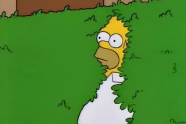 homer-disappears-into-bush
