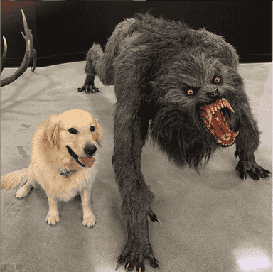 werewolf